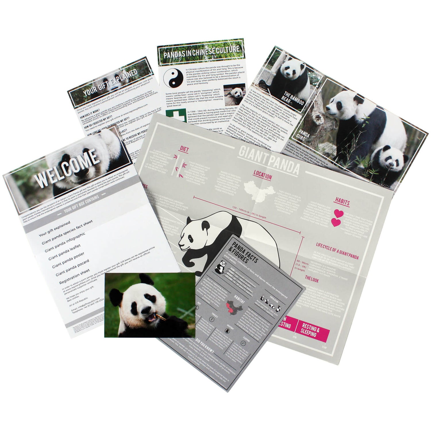 Adopt A Panda Gifts Zavvi UK