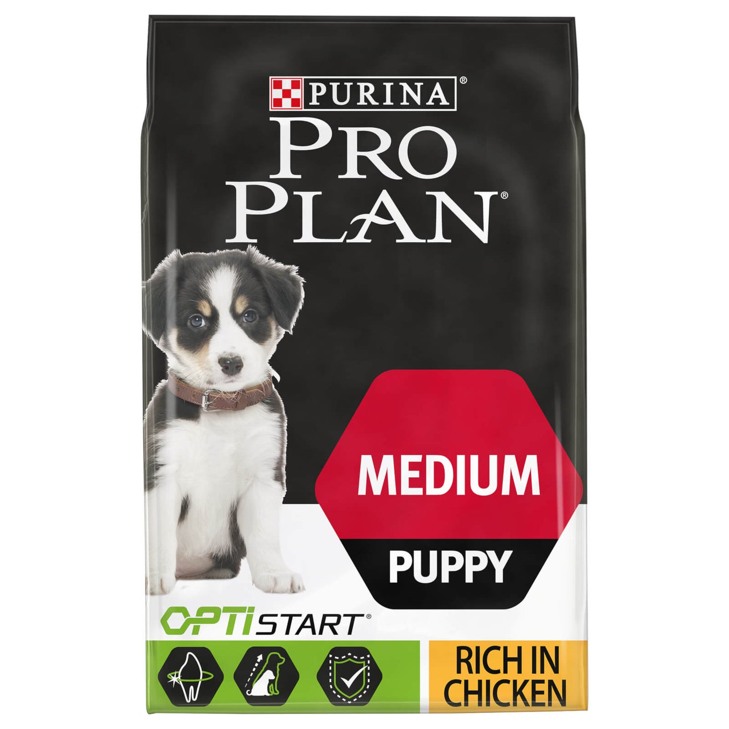 Pro plan food for dog outlet