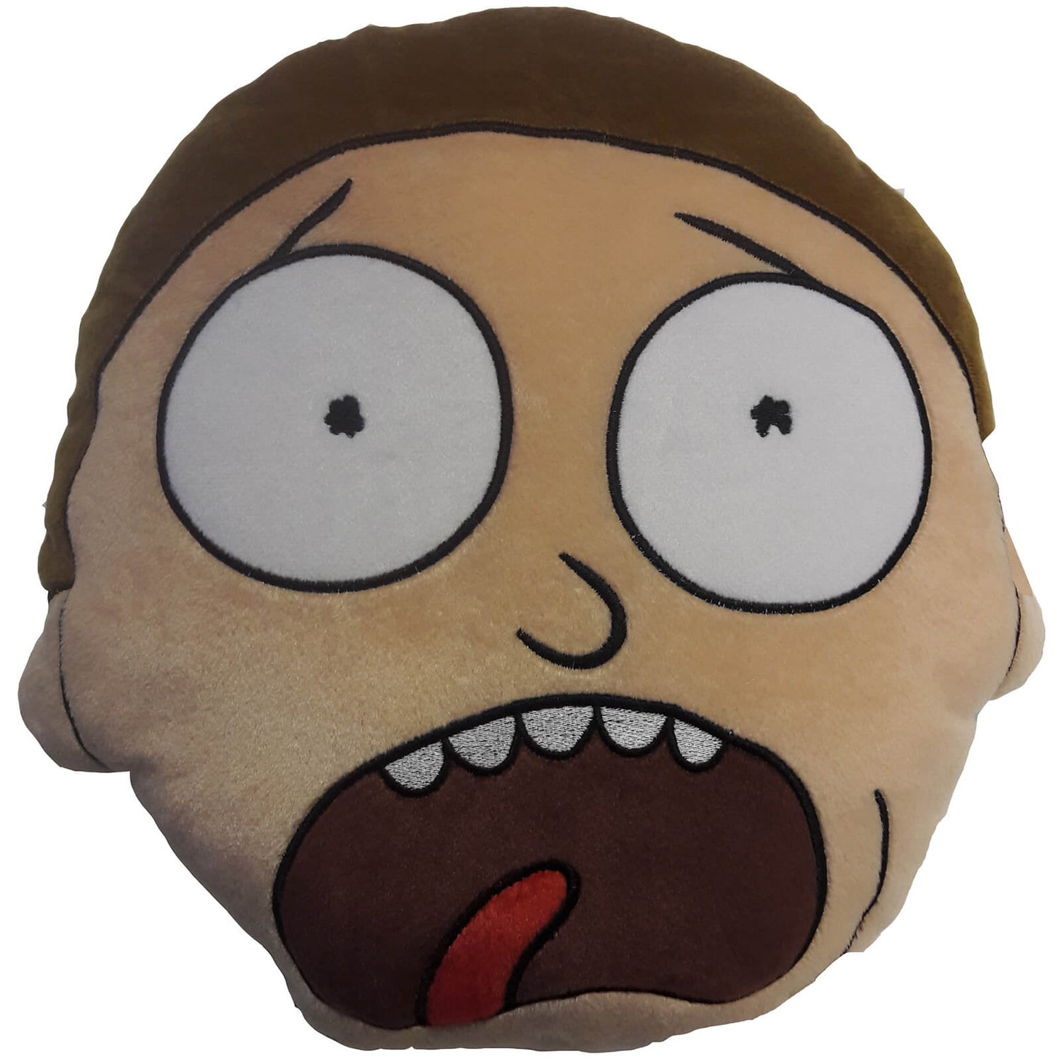 Rick and morty cushion top