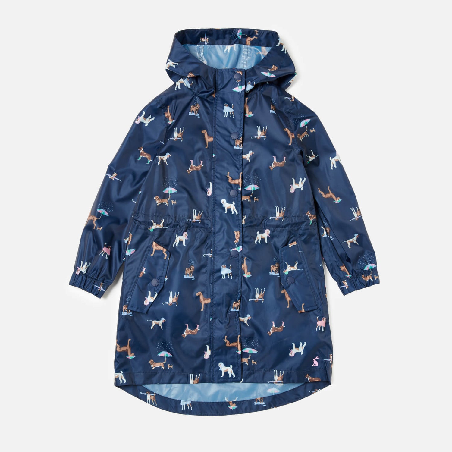 Joules golightly dog sales