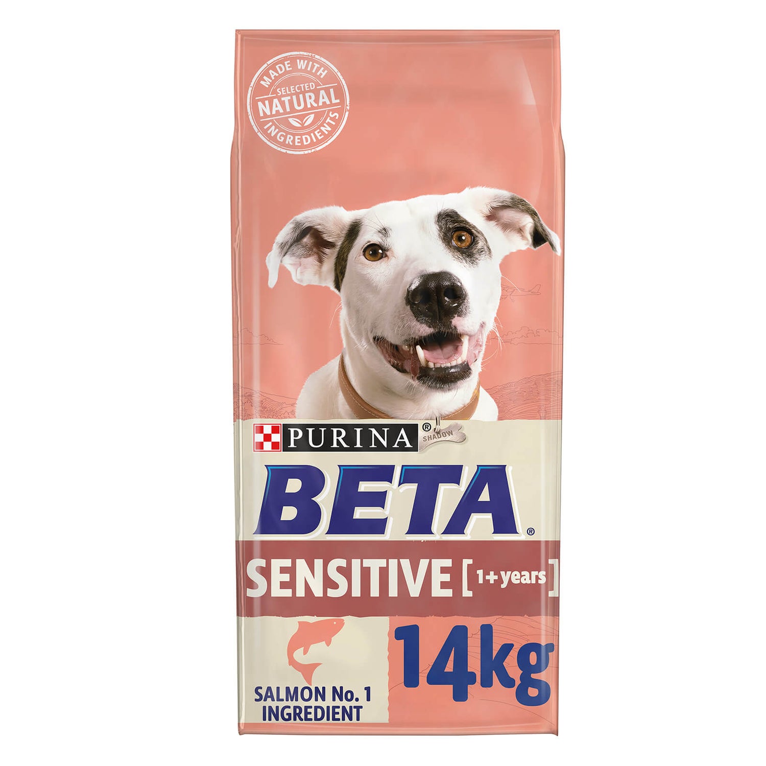 Subscription Beta Adult Sensitive Dry Dog Food with Salmon Rice 14kg 1 Month