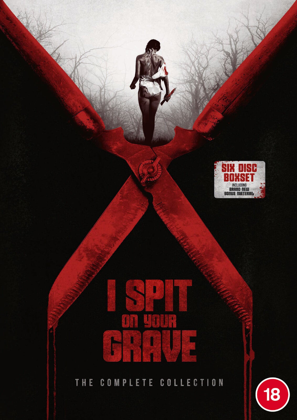 I Spit On Your Grave In Italiano