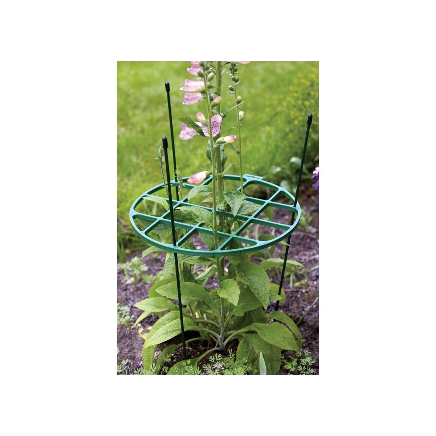 Plant Support Ring 30cm 60cm Homebase