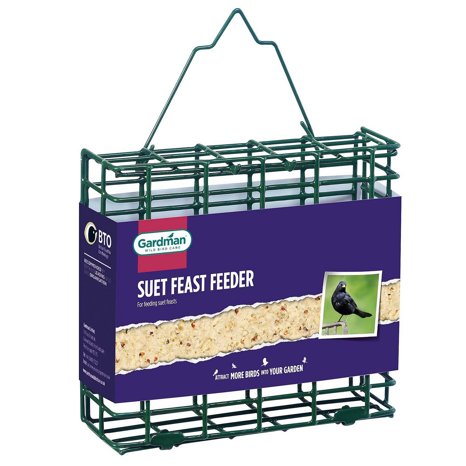 Peckish Complete Suet Cake Feeder for Wild Birds Green Homebase