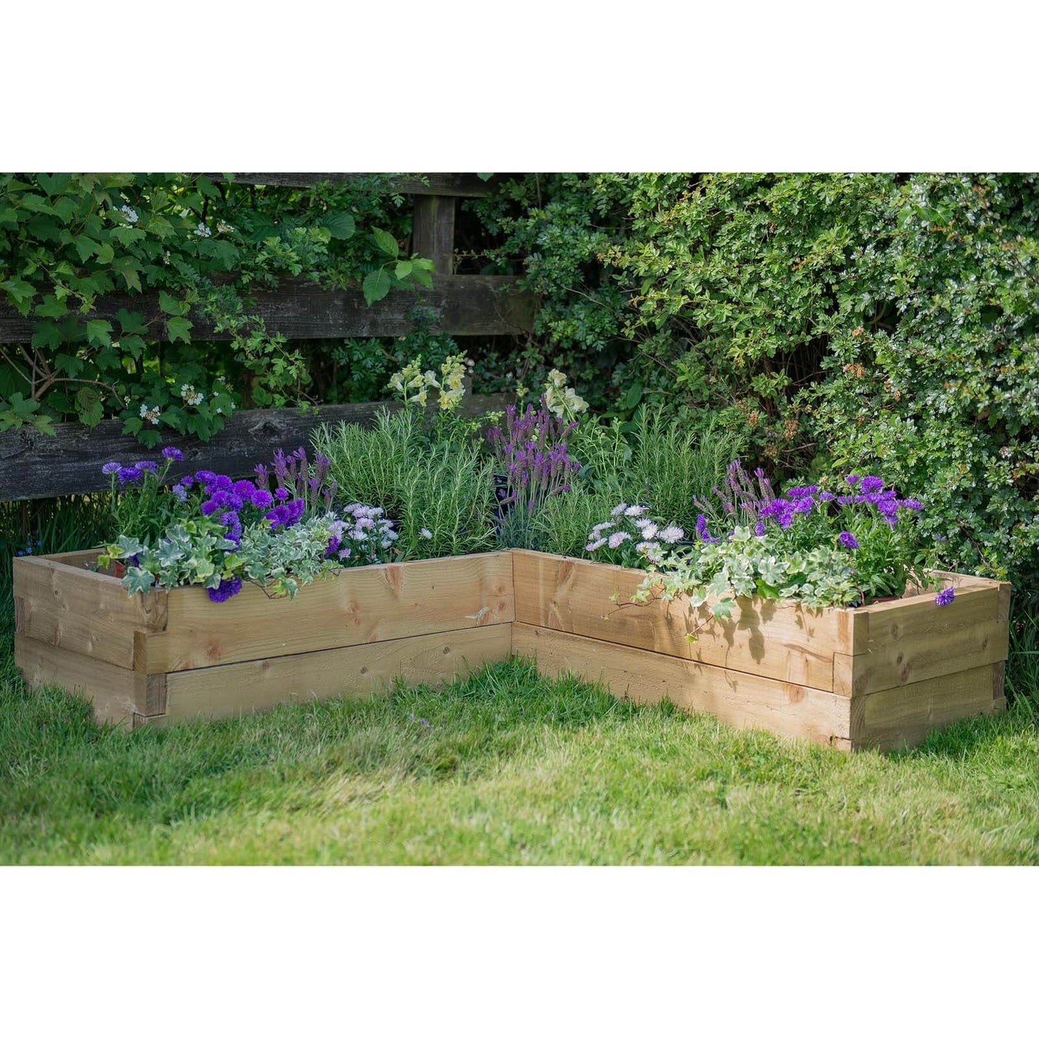 Forest Garden Wooden Caledonian Corner Raised Bed Homebase