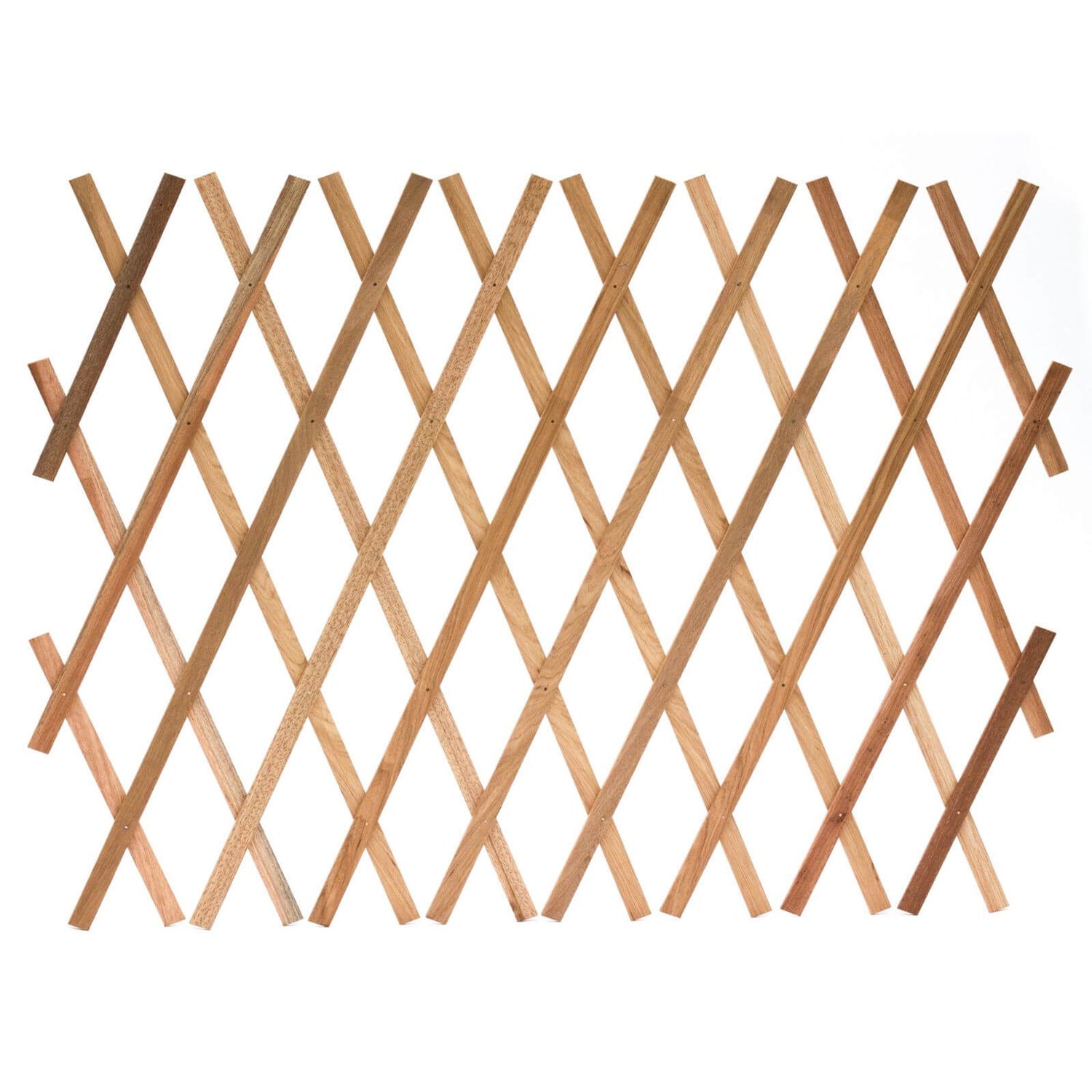 Homebase Sprout Garden Expanding Trellis 1.8m x 0.6m Homebase