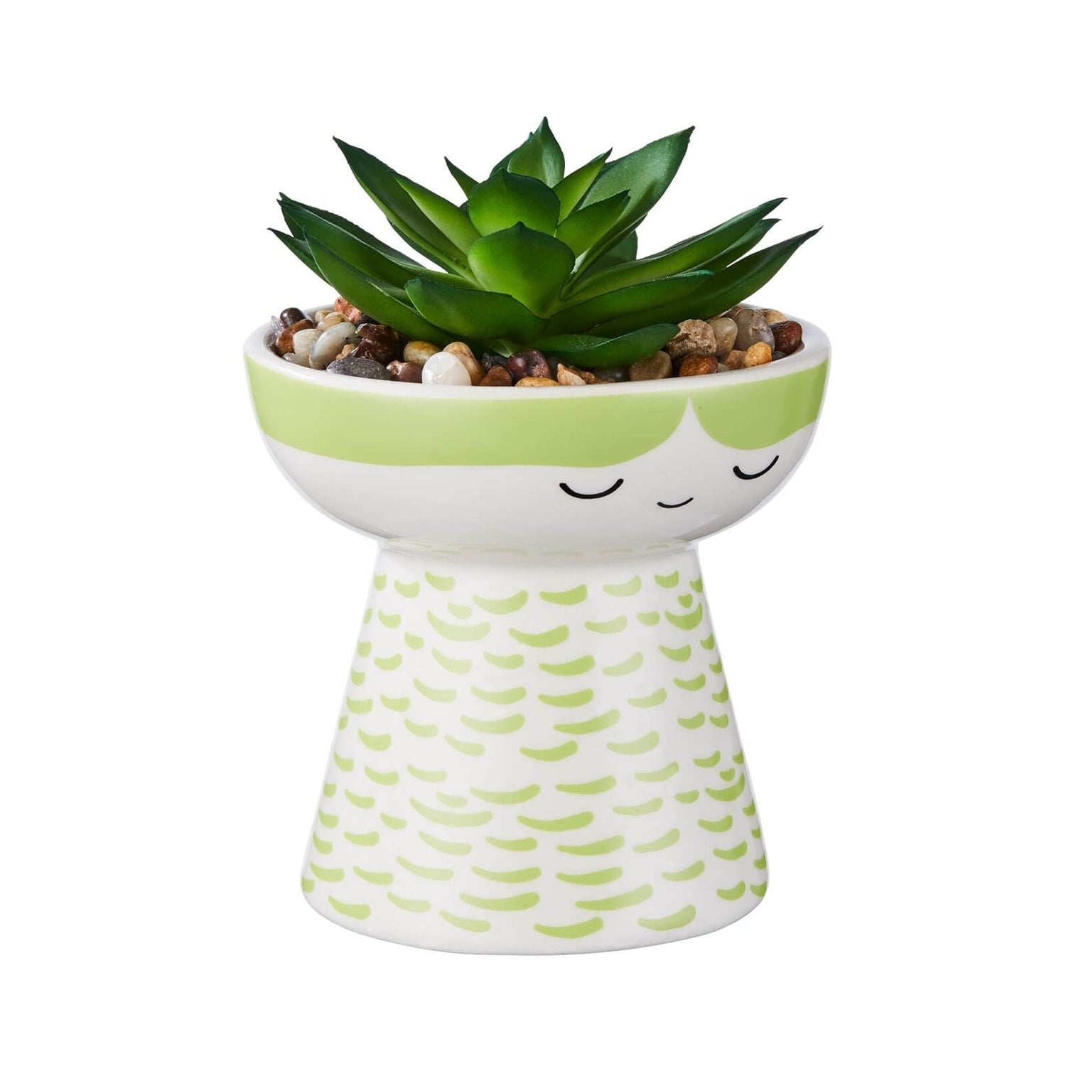 Baby Planter with Succulent Green Homebase
