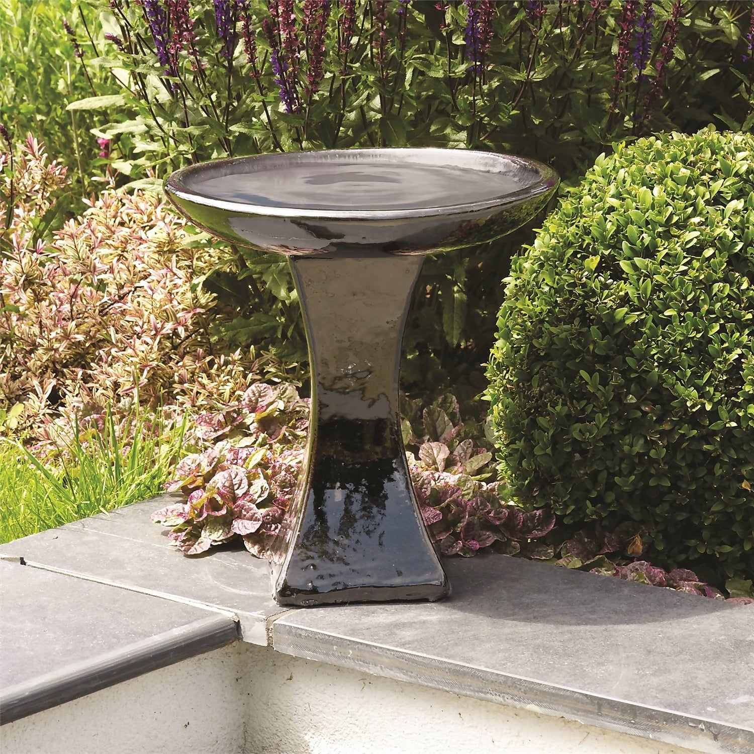10 Best Black Bird Baths to Brighten Your Backyard A Buying Guide