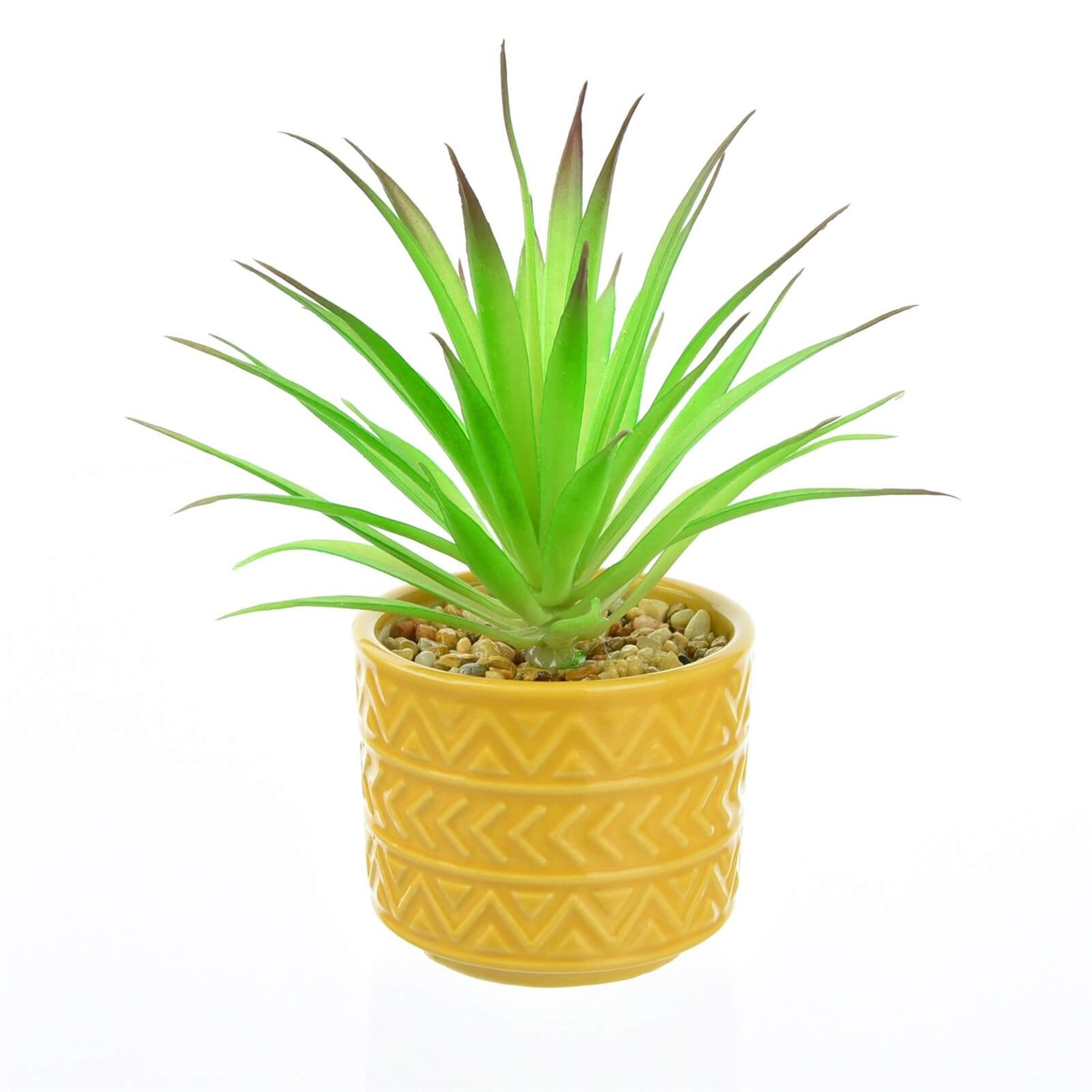 Spiky Succulent in Ochre Pot Homebase