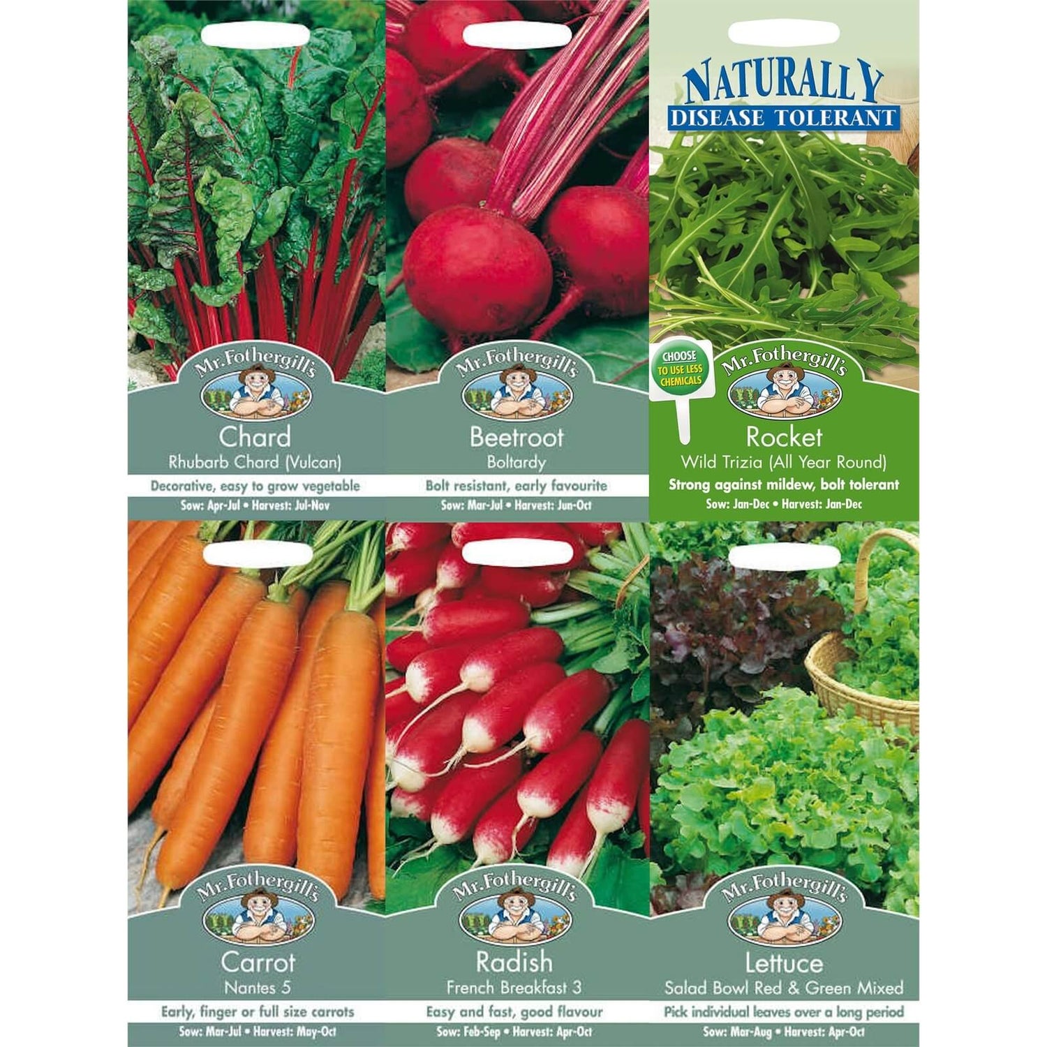 Mr. Fothergill's Easy Grow Vegetable Seeds Bundle | Homebase