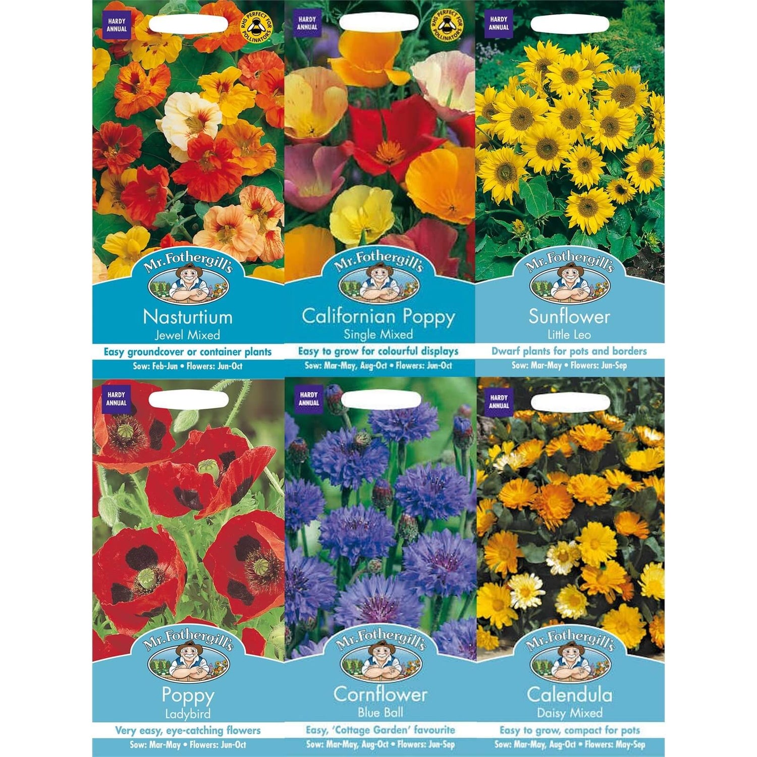 Mr. Fothergill's Easy Grow Flower Seeds Bundle Homebase
