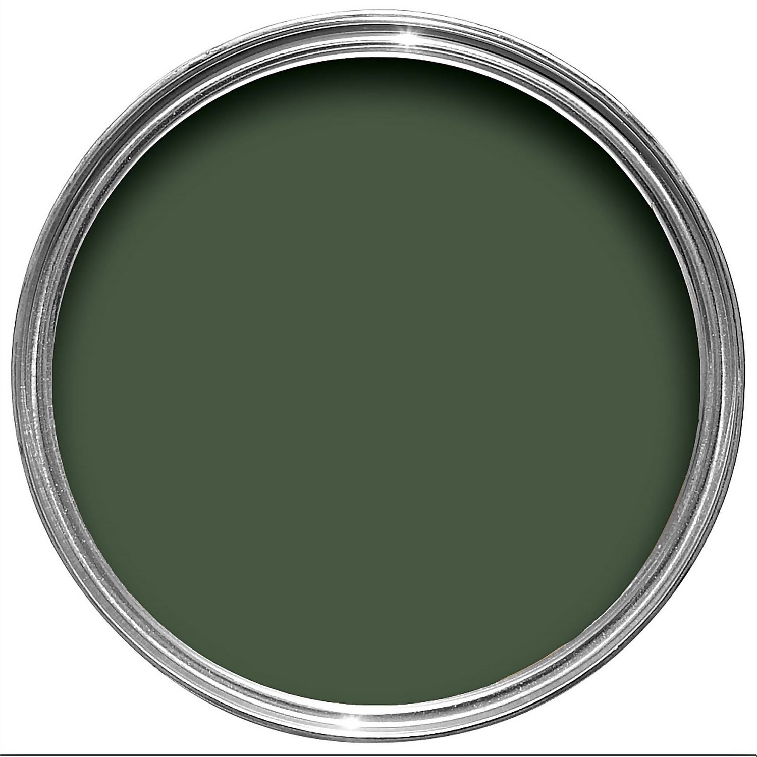 Farrow & Ball NHM Estate Eggshell Paint No. W55 Duck Green 2.5L