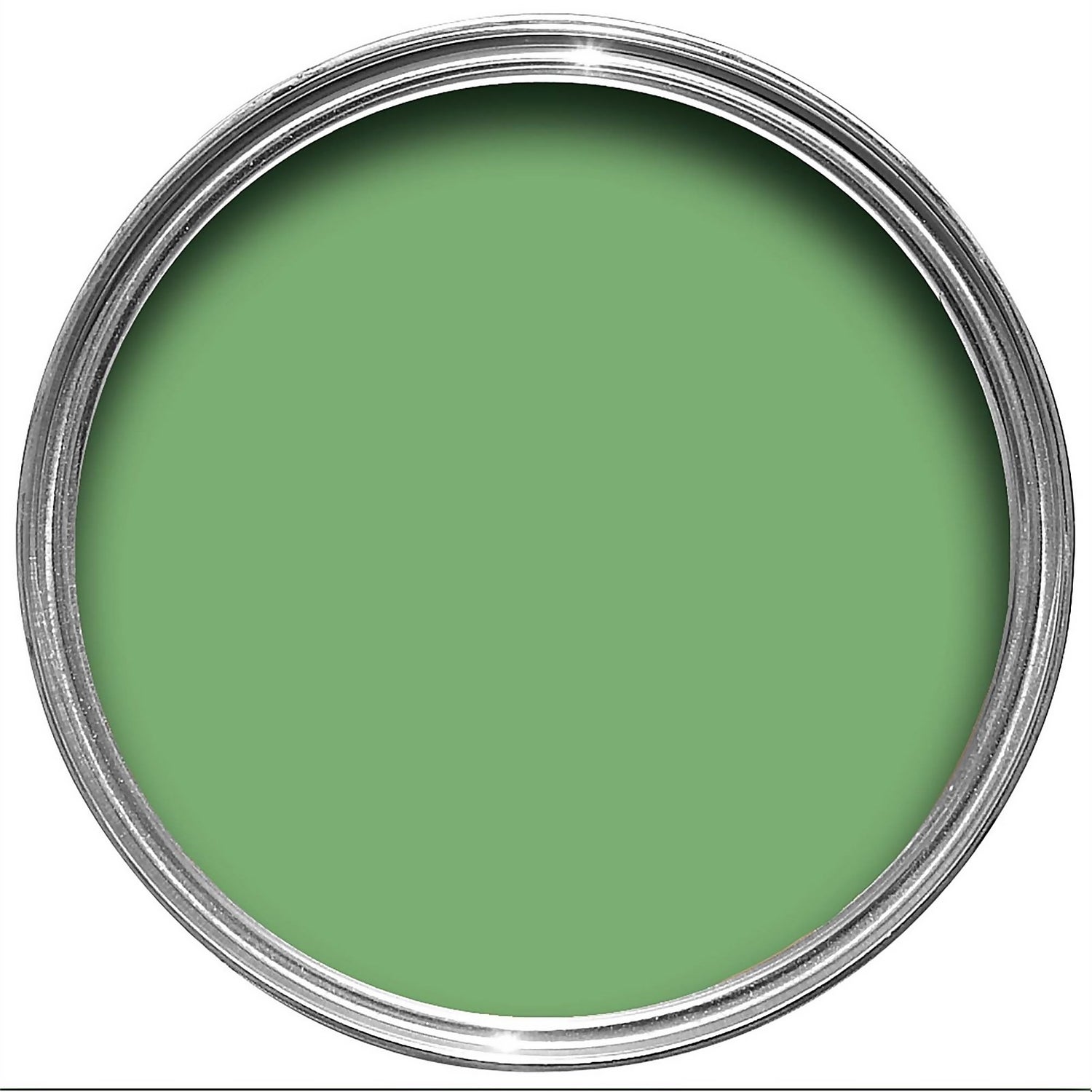Farrow & Ball NHM Emulsion Paint No. W53 Emerald Green 100ML Sample