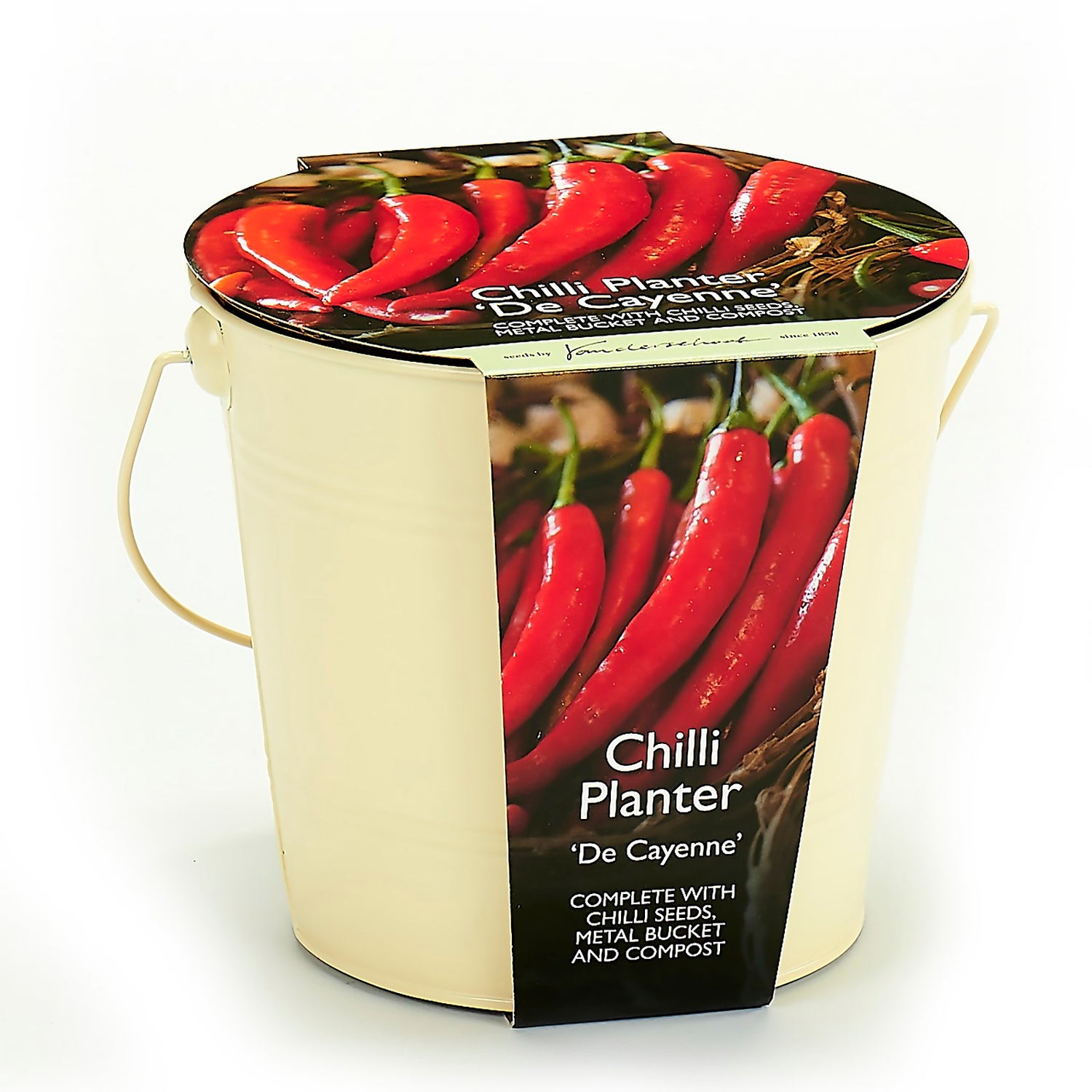 Chilli Pepper Growing Kit Homebase