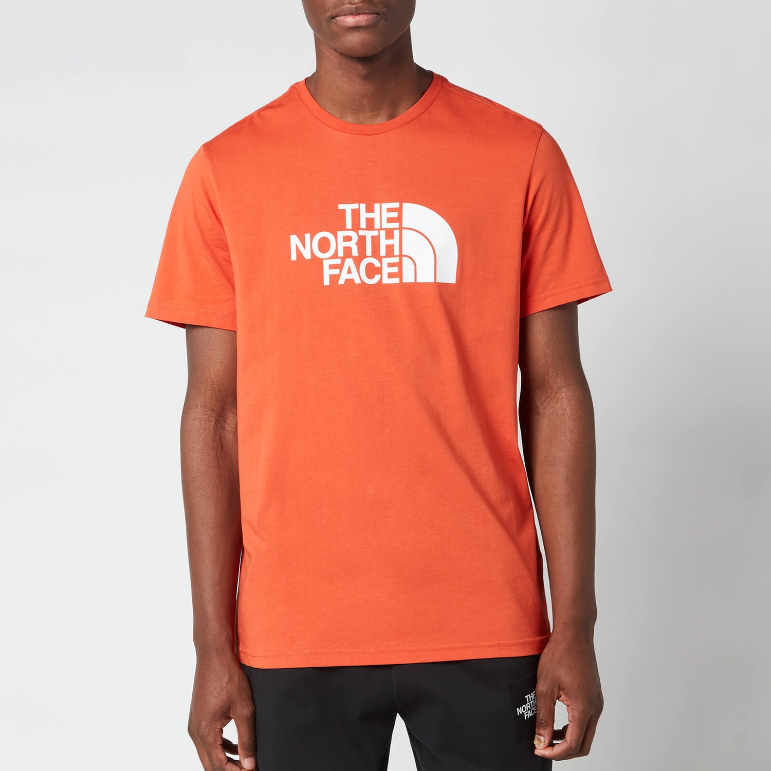 The North Face Men's Easy TShirt Burnt Ochre