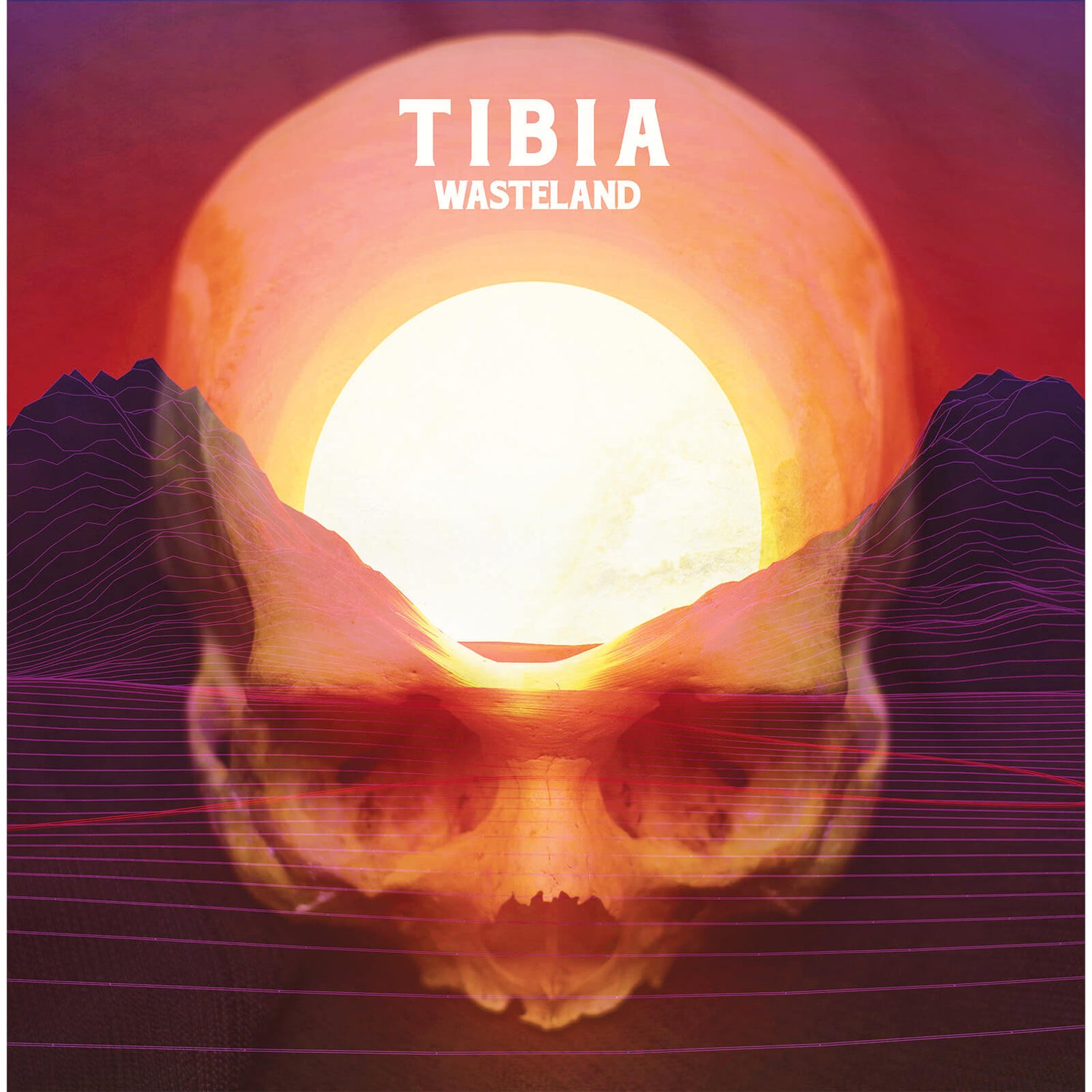 Tibia - Wasteland Vinyl Merchandise - Zavvi UK