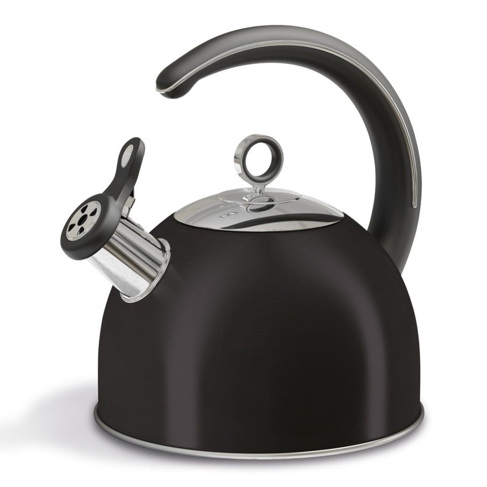 Morphy richards whistling kettle discount