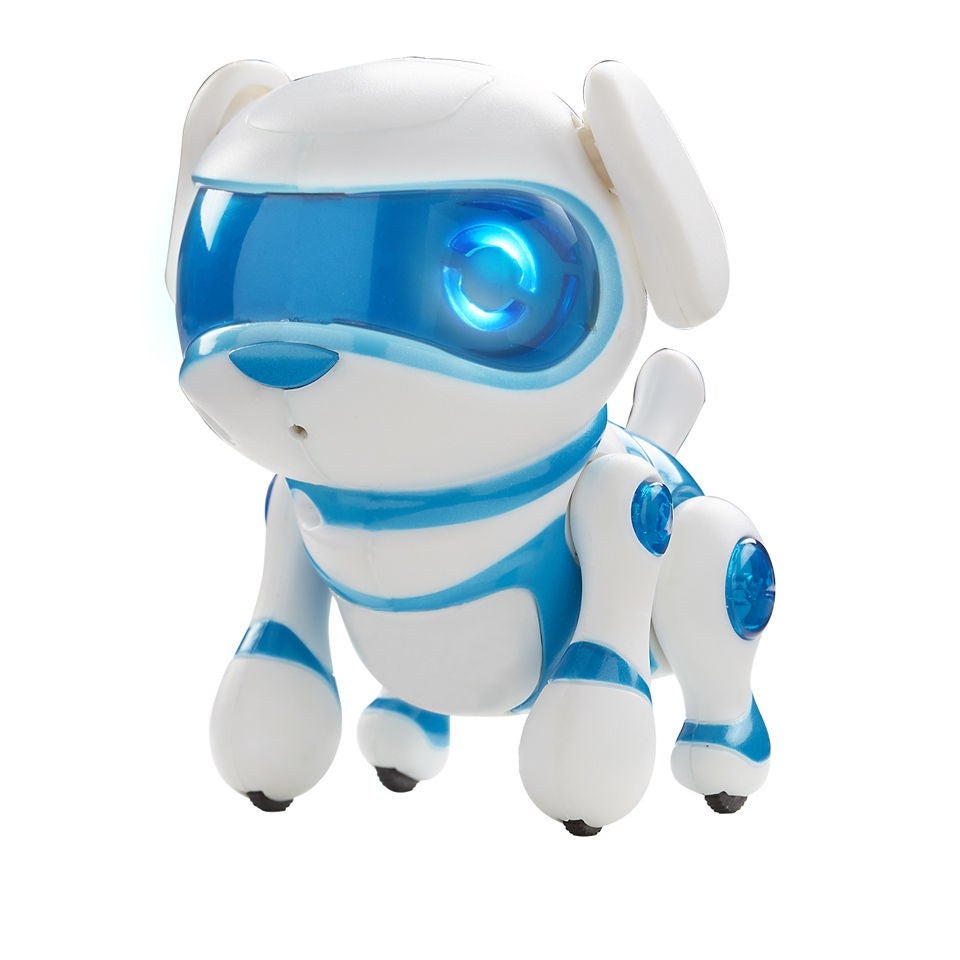 Teksta puppy 2024
