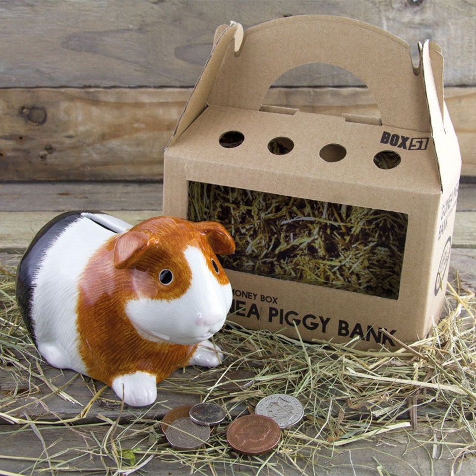 Guinea Piggy Bank