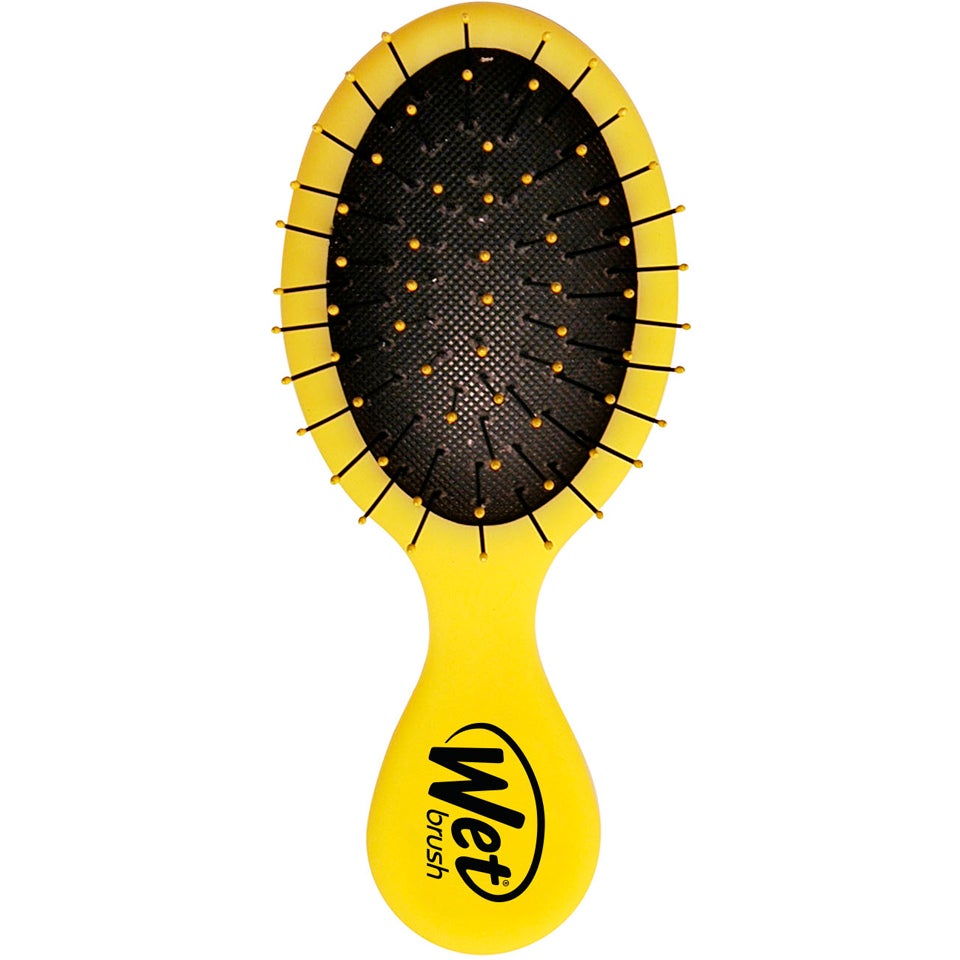 Wetbrush Squirts 