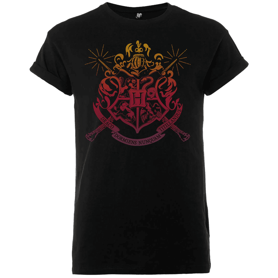 Harry Potter Draco Dormiens Nunquam Titillandus Men's Black T-Shirt