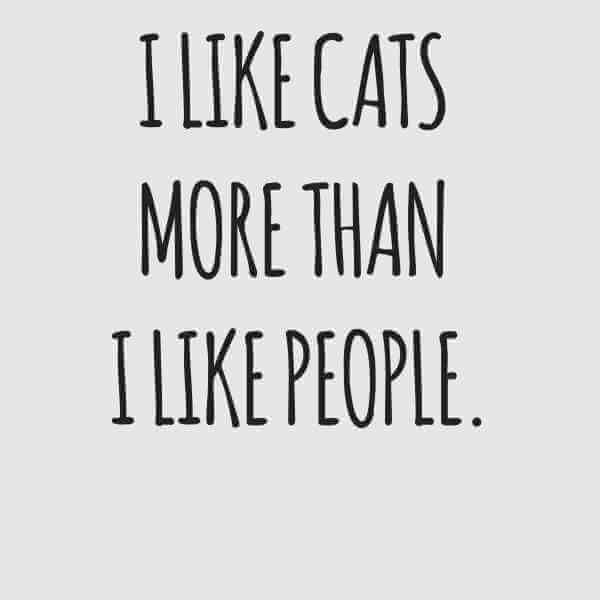 I Like Cats More Than People T-Shirt - Grey 1