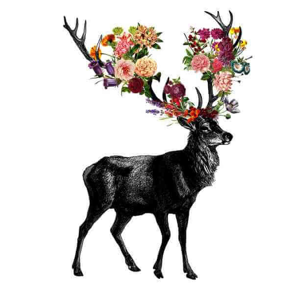 Tobias Fonseca Spring Itself Deer Floral Men's T-Shirt - White 0
