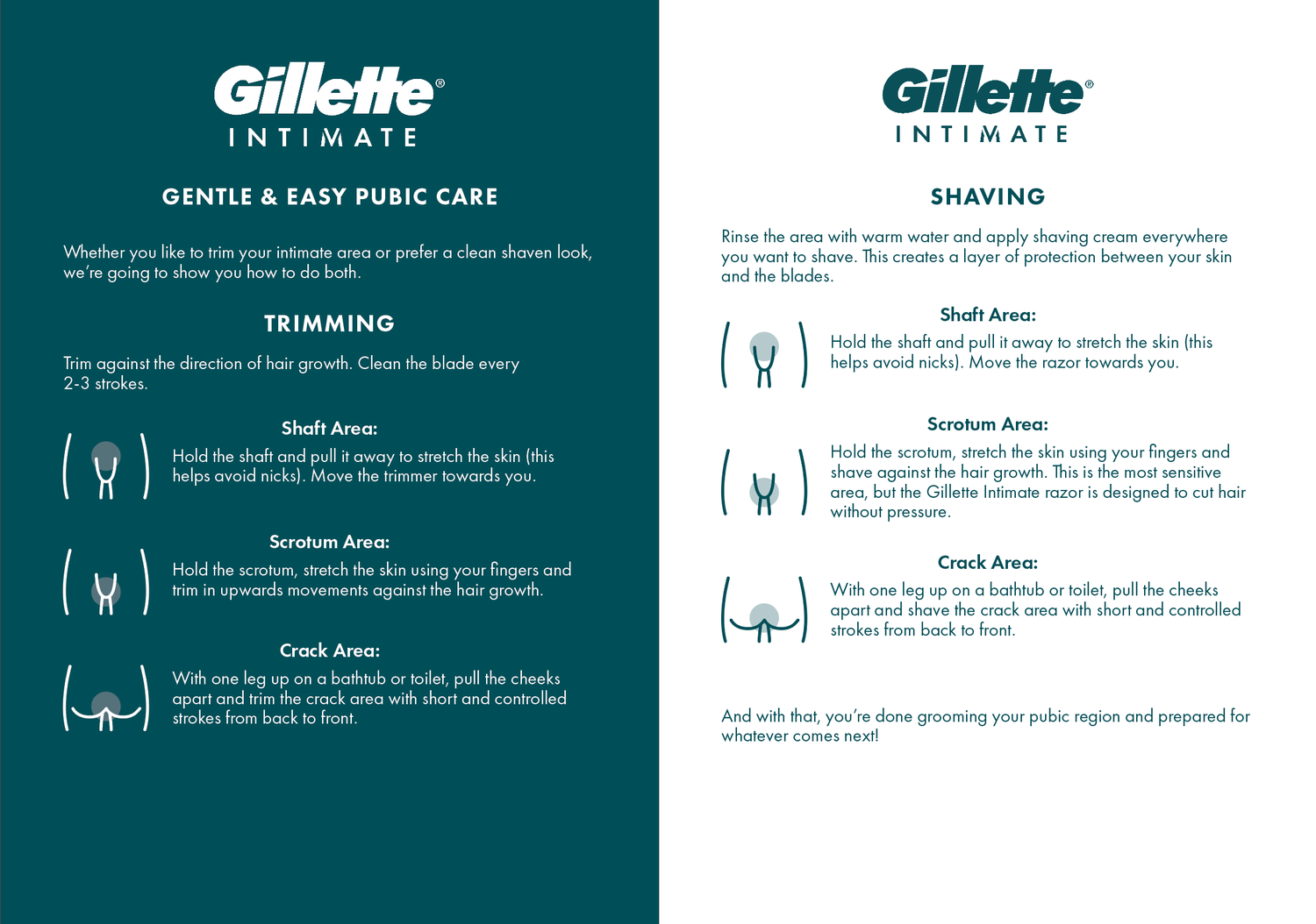 Gillette INTIMATE Grooming Pubic Hair Innovation Gillette