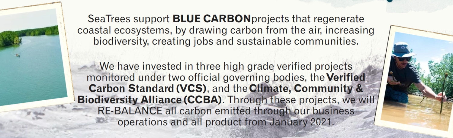 seatrees support blue carbon projects that regenerate coastal ecosystems, by drawing carbon from the air, increasing biodiversity, creating jobs and sustainable communities.