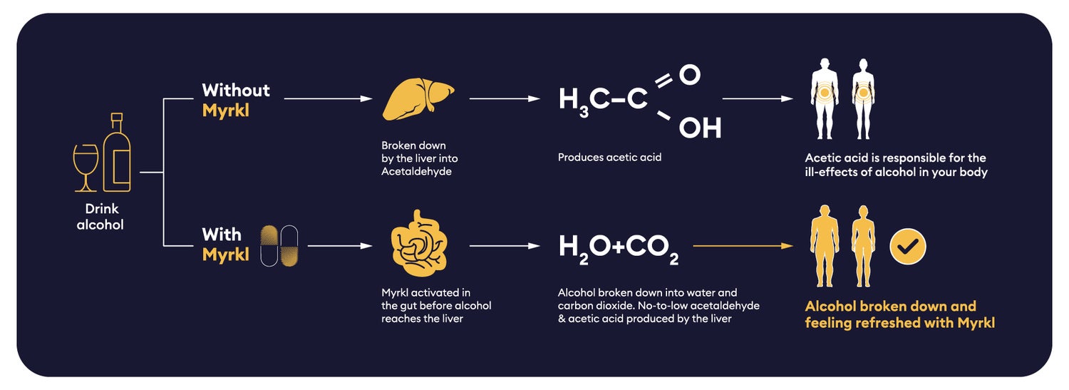 Myrkl is activated in the gut before alcohol reaches the liver. The liver then breaks this down into Acetaldehyde. Alcohol broken down into water and carbon dioxide. No-to-low Acetaldehyde & Acetic acid produced by the liver. Produces acetic acid. Acetic acid is responsible for the ill-effects of alcohol in your body. Alcohol broken down and feeling refreshed with Myrkl. (dummy copy - to be revised)