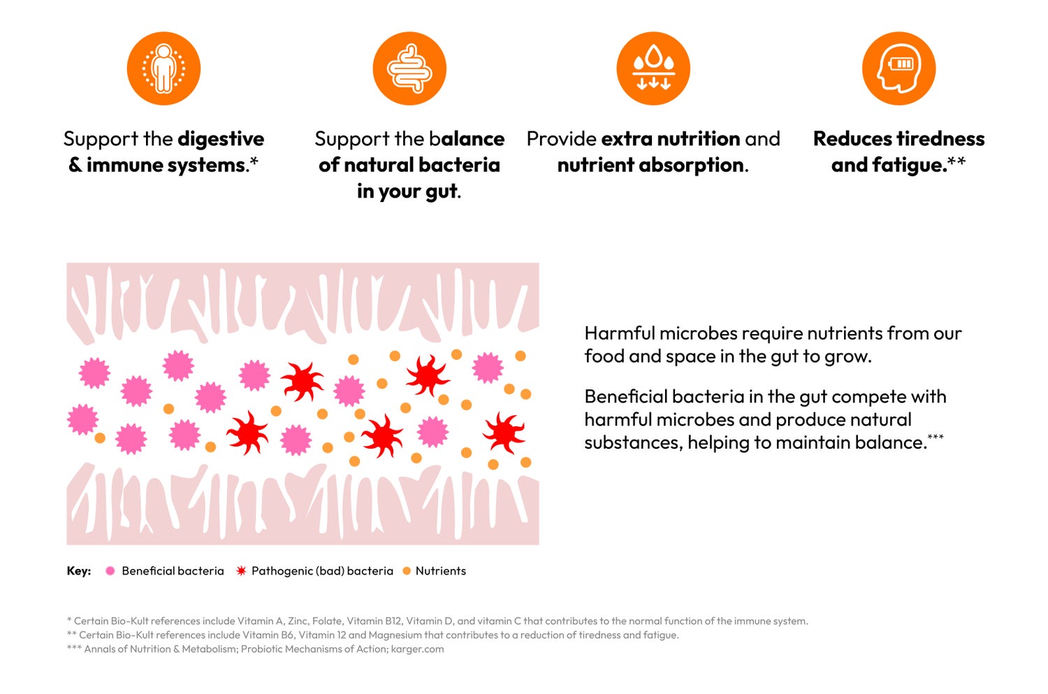 Support the digestive and immune systems. Support the balance of natural bacteria in your gut. Provide extra nutrition and nutrient absorption. Reduces tiredness and fatigue.