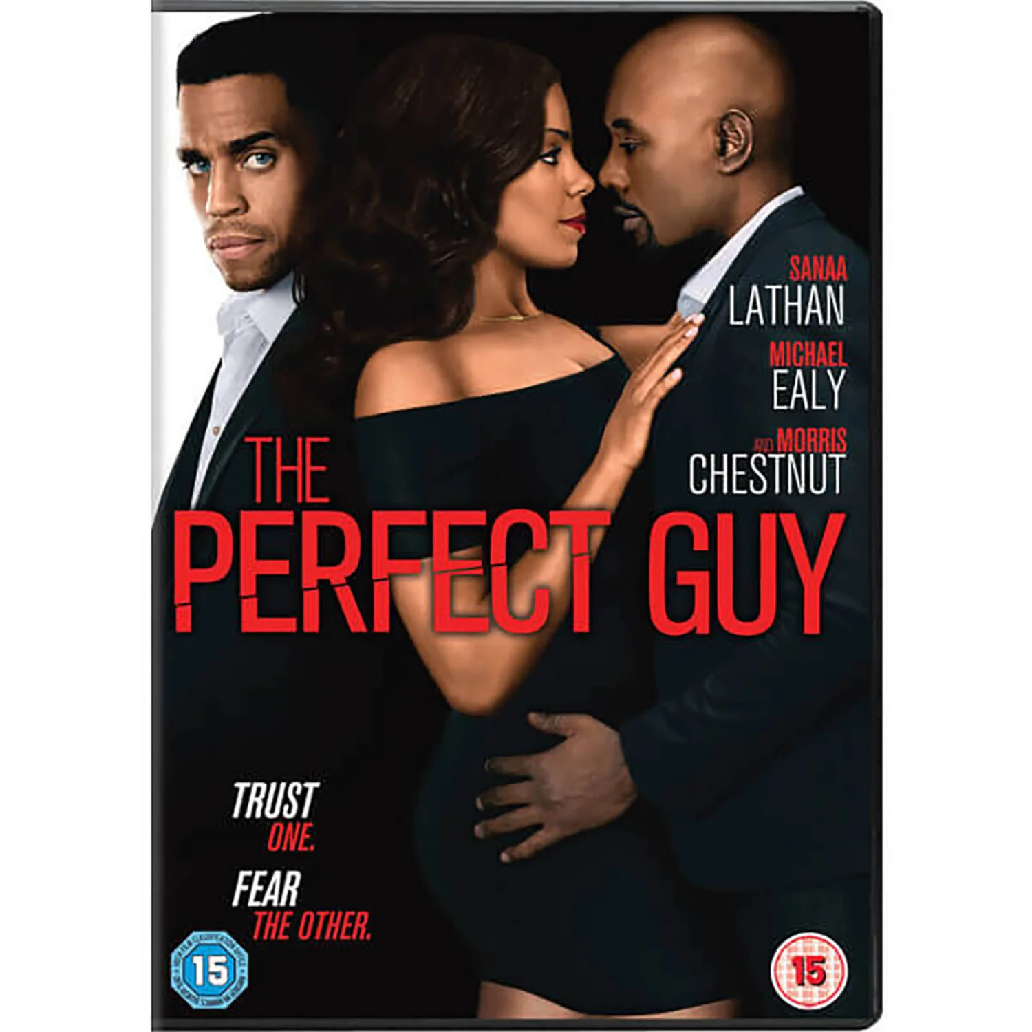 The Perfect Guy 