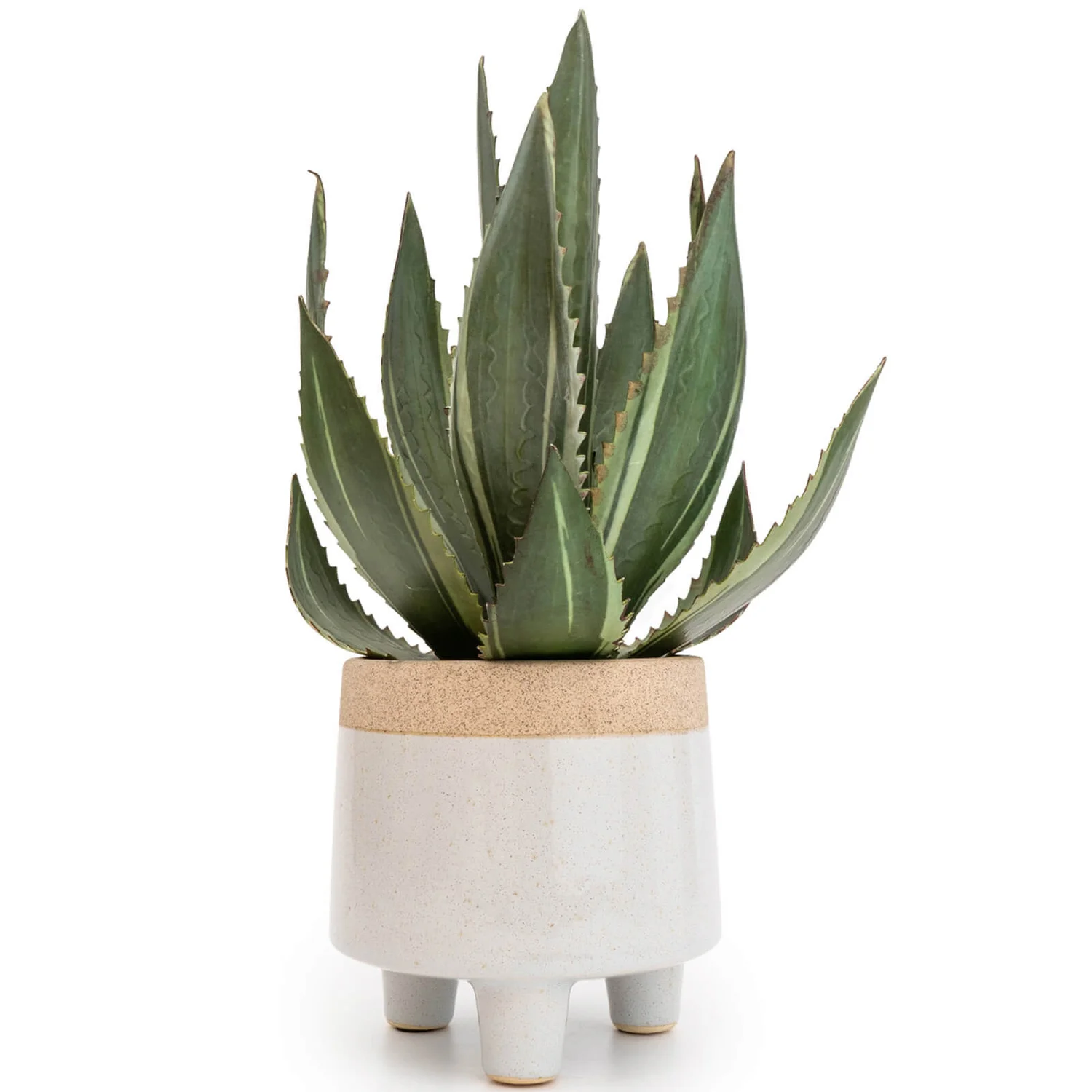faux plant