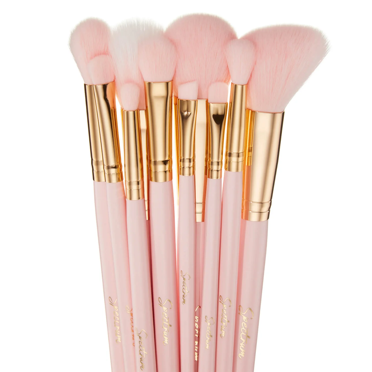 Spectrum Collections Exclusive 10 Piece Blush Brush Set