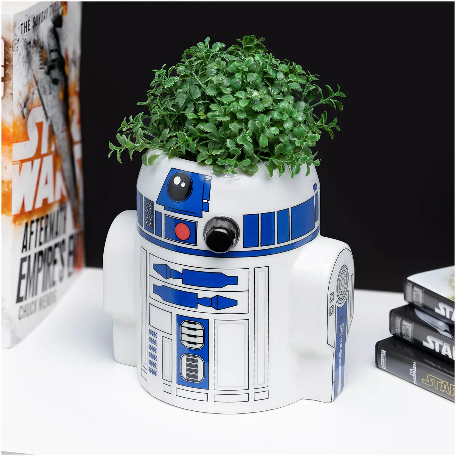 Star Wars R2D2 Pen / Plant Pot