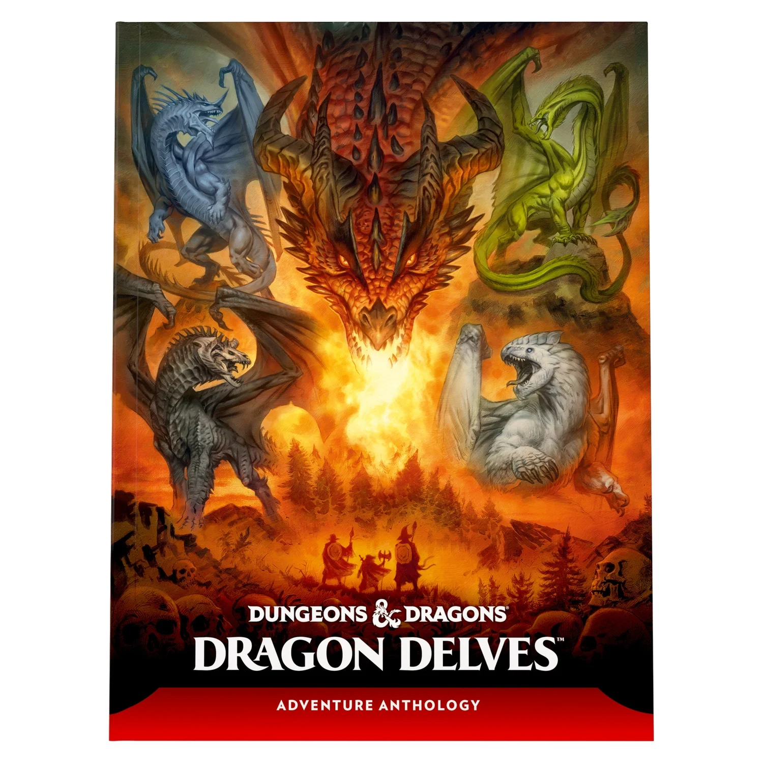 Dungeons & Dragons Heroes of the Borderlands