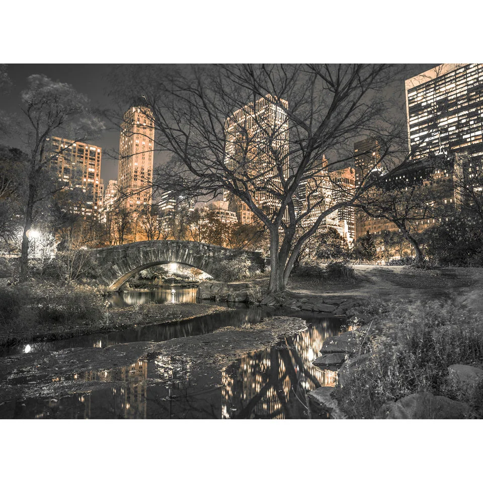 Central Park Wall Mural