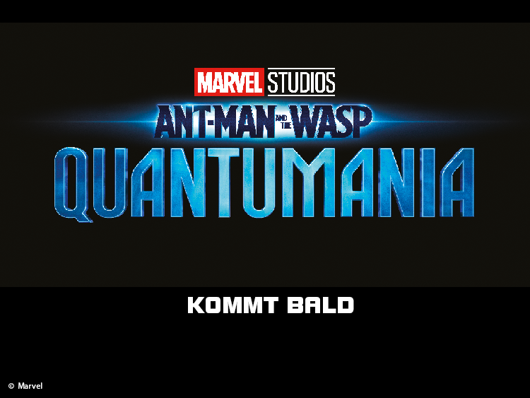 Ant-Man and the Wasp: Quantumania Clothing Collection