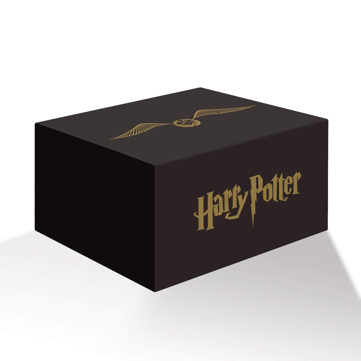 100% OFFICIAL<br>MYSTERY HARRY POTTER BOX
