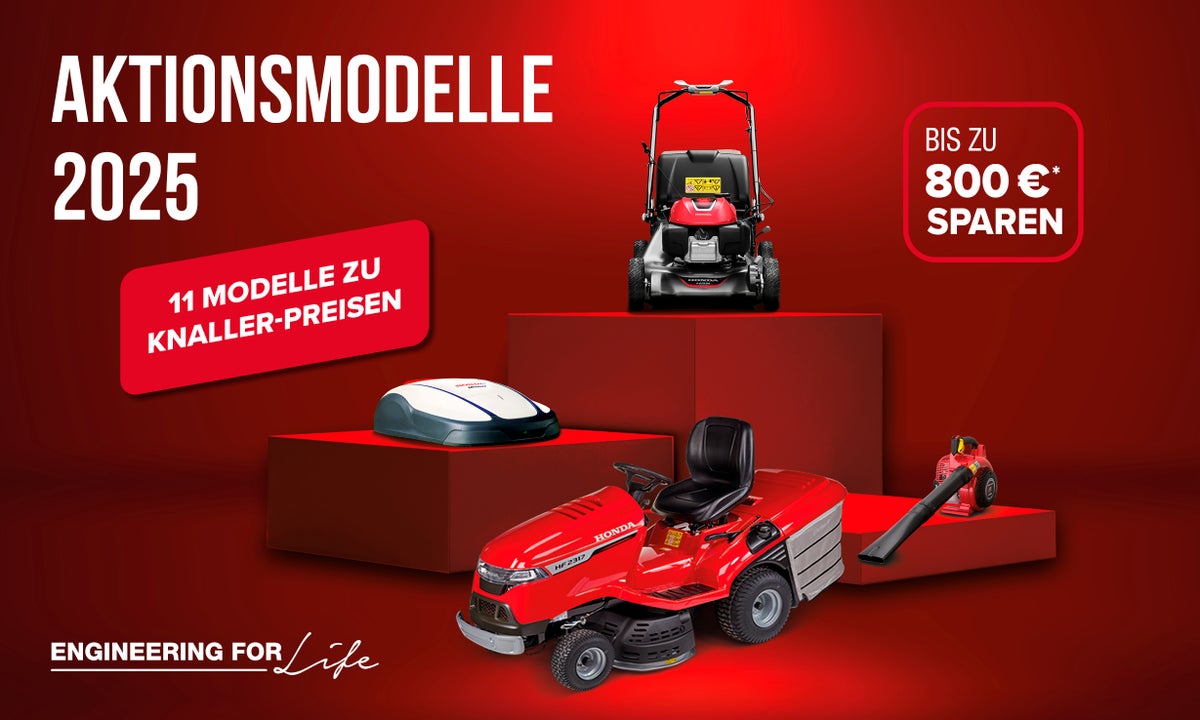 Aktionsmodelle 2025