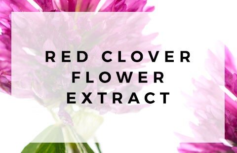Red Clover For Hair | Grow Gorgeous | Free Delivery