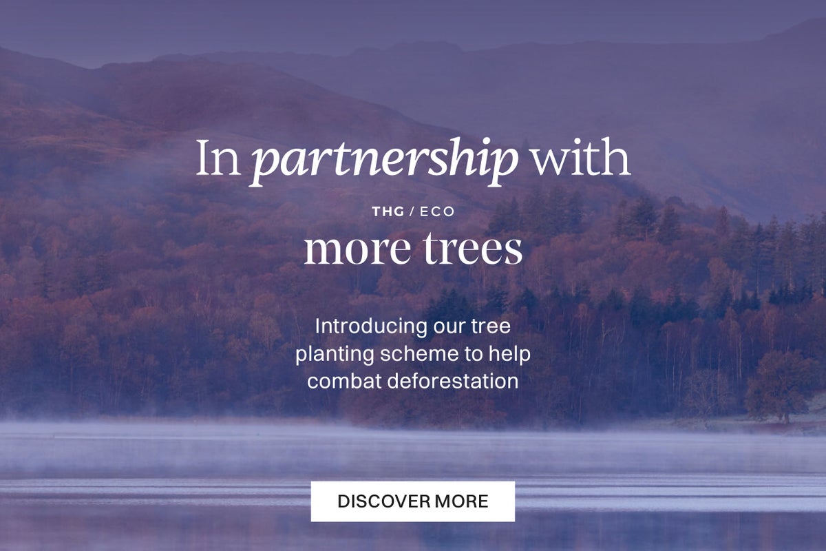 In partnership with More Trees. Introducing our tree planting scheme to help combat deforestation.