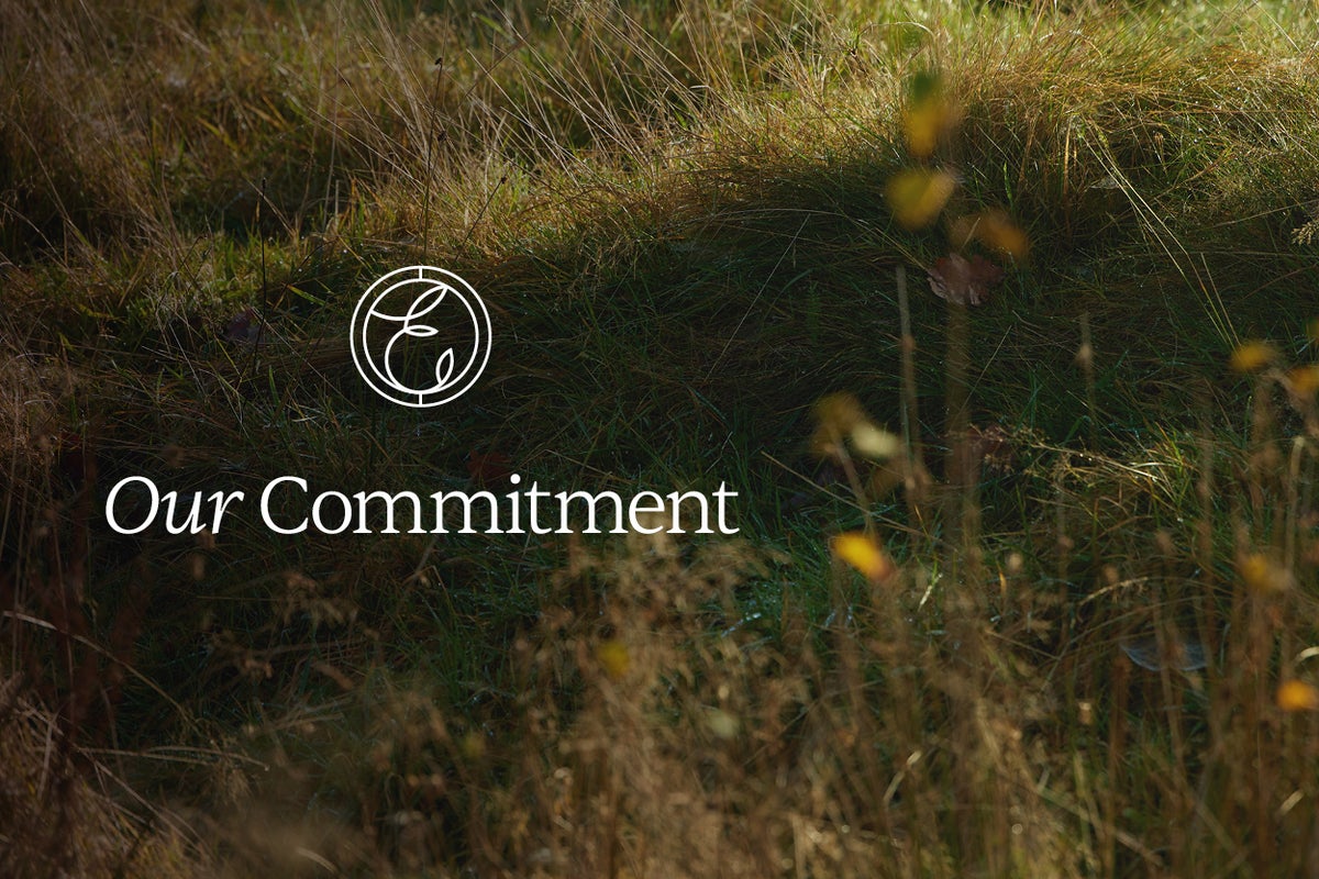 Our commitment