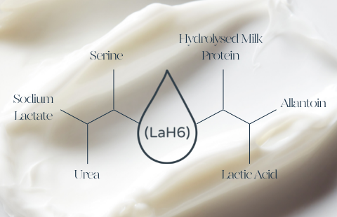 Gli Ingredienti del Nostro Complesso LaH6 | Ameliorate Italia
