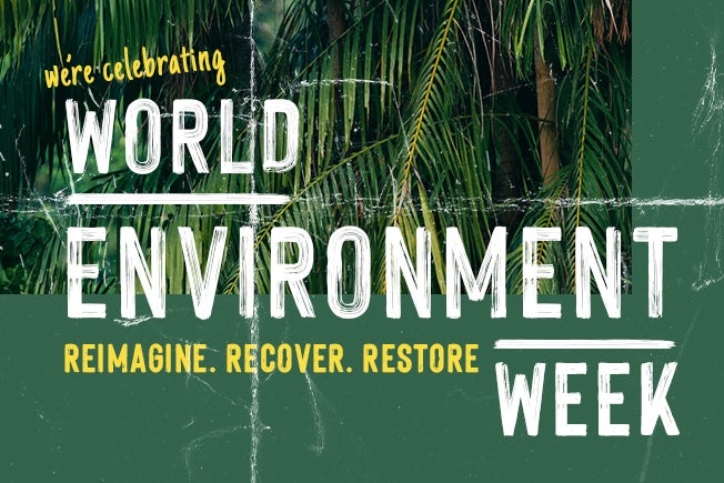 World Environment Week