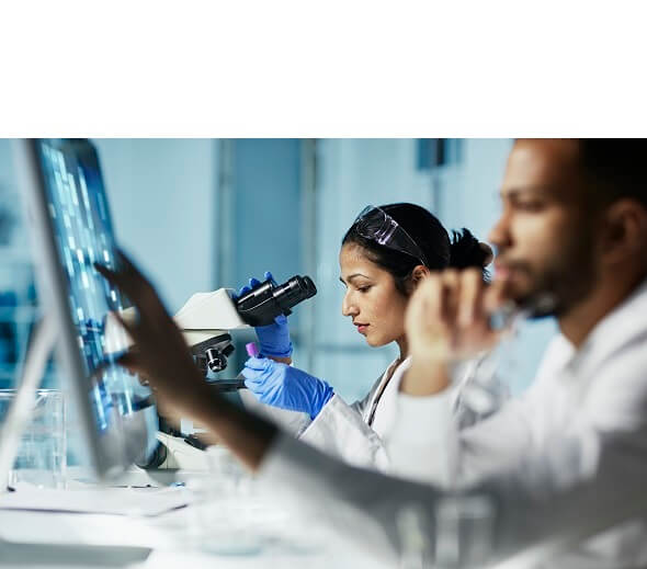 Professionals testing supplements in the laboratory