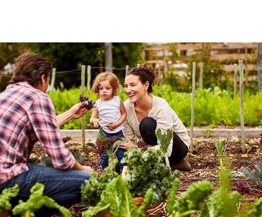 Una coppia sorridente con un bambino piantano delle verdure.
