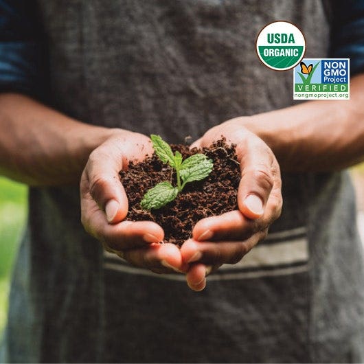 Un uomo tiene nelle mani del terreno da cui sta crescendo una pianta. Nell'angolo destro dell'immagine troviamo i loghi Non-GMO e USDA organic.