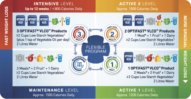 A infographic of OPTIFAST flexible program, including intensive level,  active 2 level, maintenance level and active 1 level.