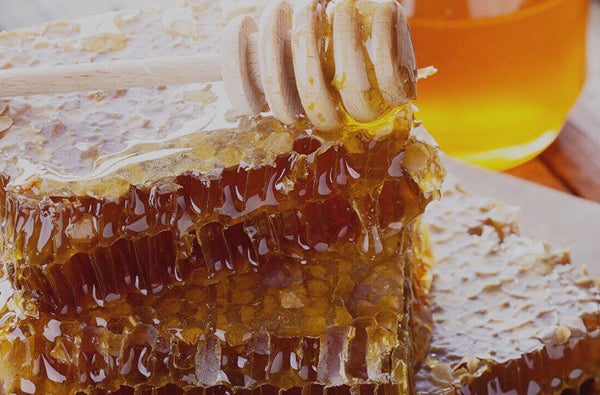 A honeycomb on top of a wooden table